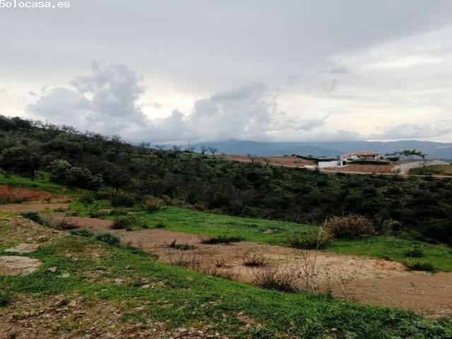 Local Comercial en venta en Guaro