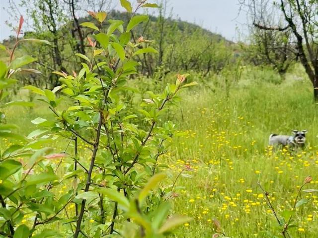 Parcela en Venta en H20 La Estrella