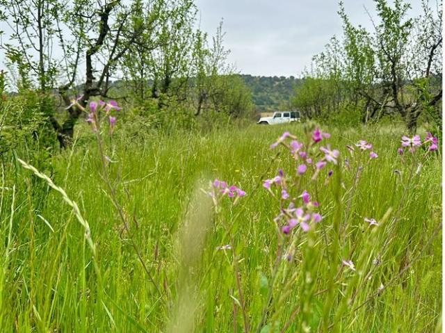 Parcela en Venta en H20 La Estrella