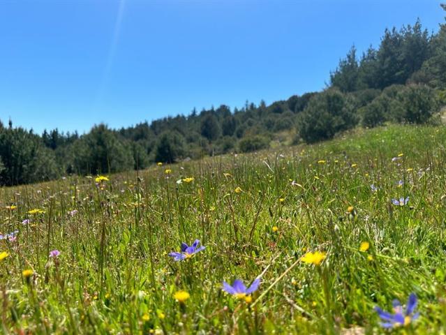 Parcela en Venta en H20 La Estrella