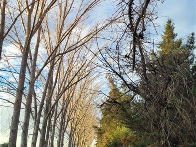 Parcela en Venta en H 20