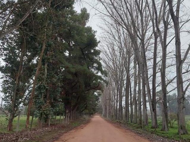 Parcela en Venta en H 20