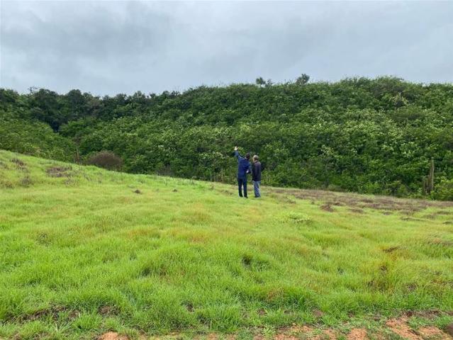 Parcela en Venta en H 20