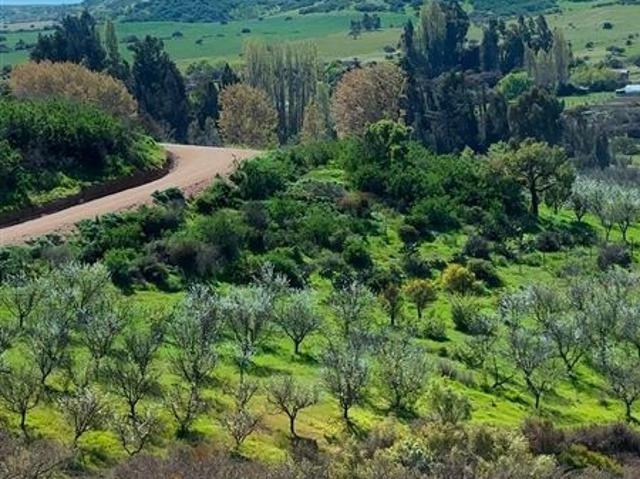 Parcela en Venta en H 20