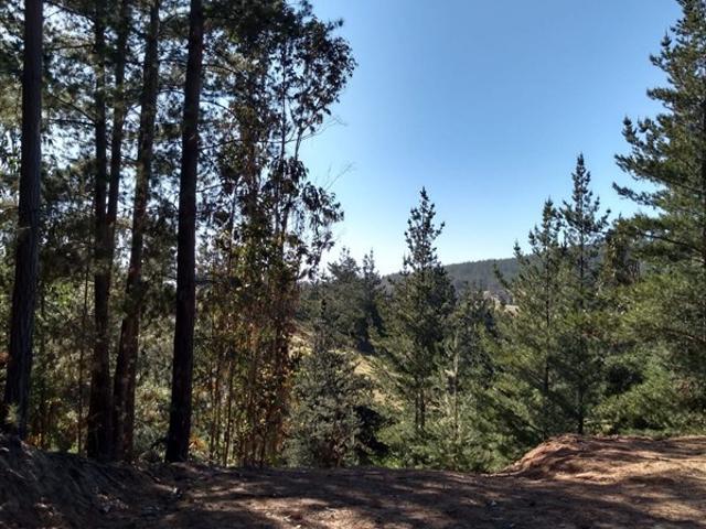 Parcela en Venta en Hacienda Bucalemu, Paredones