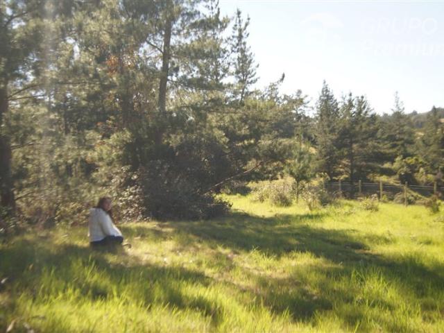 Parcela en Venta en Hacienda Bucalemu, Paredones