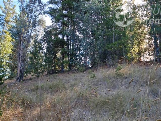 Parcela en Venta en Hacienda Bucalemu, Paredones