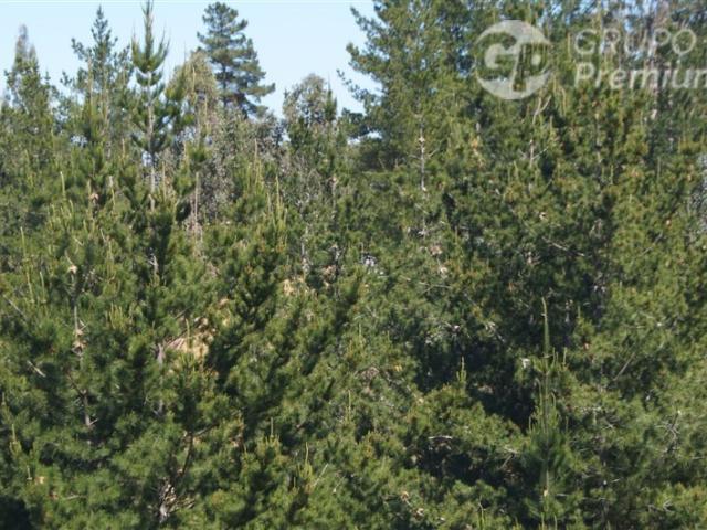 Parcela en Venta en Hacienda Bucalemu, Paredones