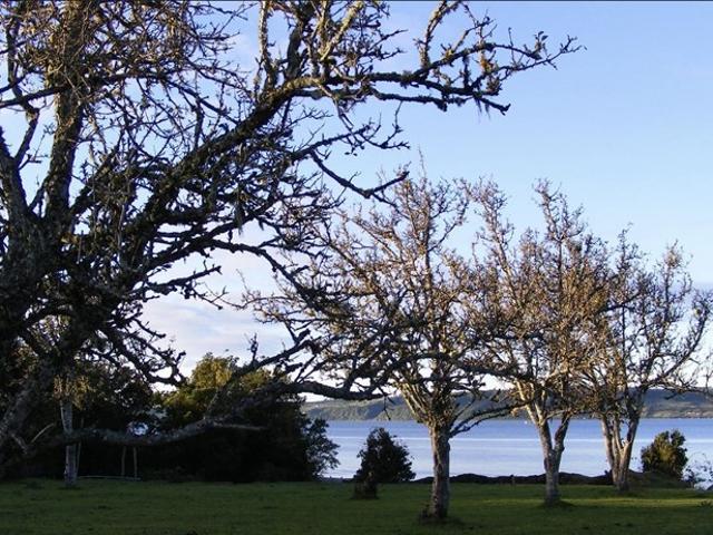 Parcela en Venta en Isla Laitec/ Punta White