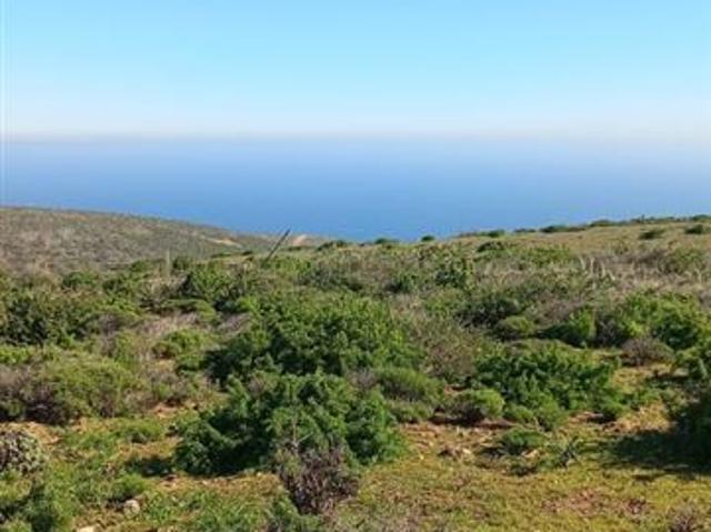 Parcela en Venta en Kilometro 328, Ruta 5 norte