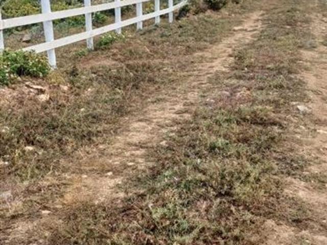 Parcela en Venta en Kilometro 328, Ruta 5 norte