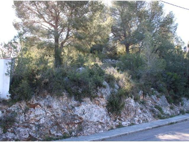Local Comercial en venta en Tossal Gros d'en Carros, la Safor