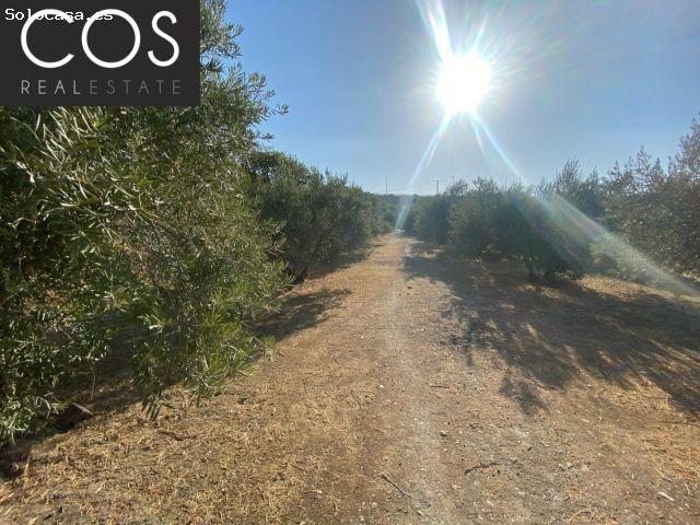Local Comercial en venta en Urbanización Virgen Blanca, Jaén