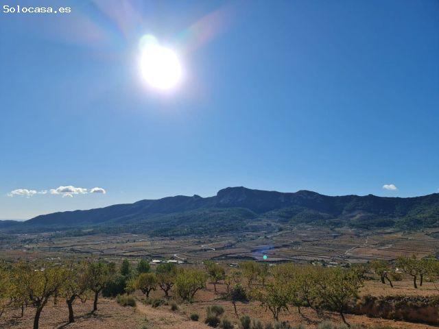 Local Comercial en venta en el Vinalopó Mitjà / El Vinalopó Medio, Valencia