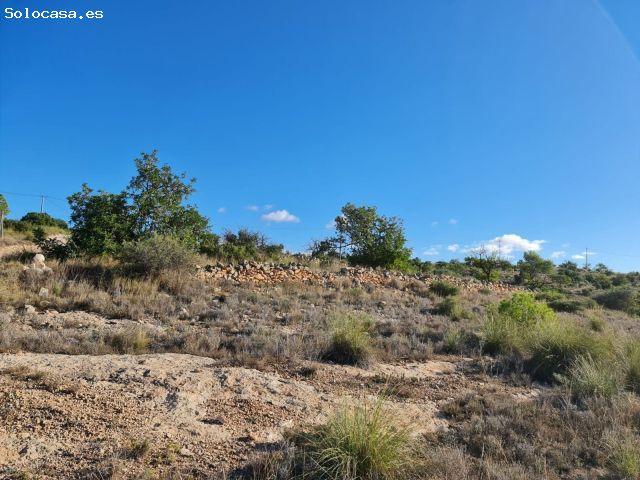 Local Comercial en venta en el Vinalopó Mitjà / El Vinalopó Medio, Valencia
