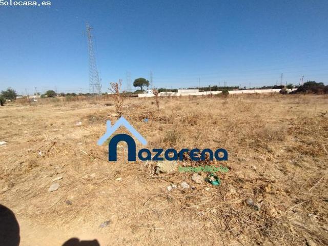 Local Comercial en venta en Consolación, Dos Hermanas