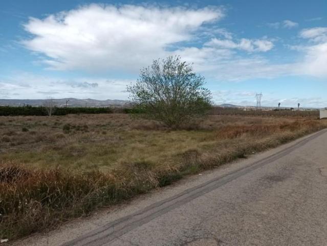 Terreno en venta en L'alcúdia