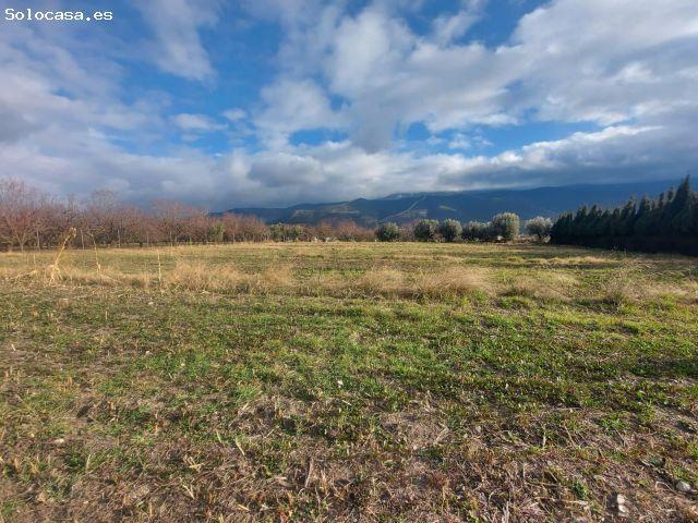 Local Comercial en venta en Láujar De Andarax, Andalucía