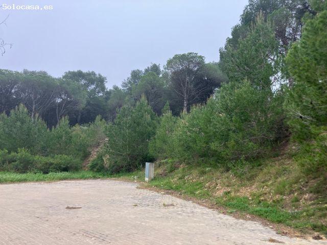 Local Comercial en venta en Camp dels Pilans, Alt Empordà