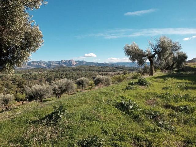Terreno en venta en Matarraña / Matarranya, Lledó