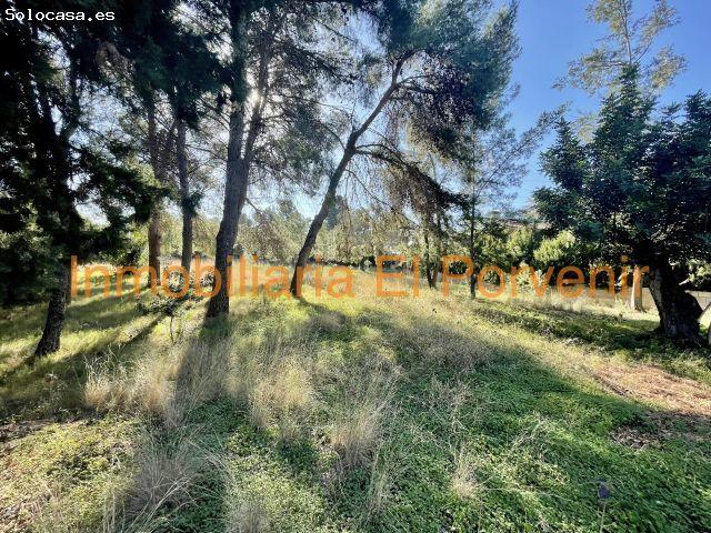 Local Comercial en venta en Santa Apolonia, l'Horta Sud
