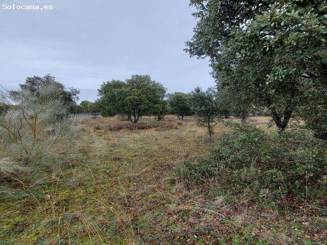 Local Comercial en venta en Maello, Castilla y León