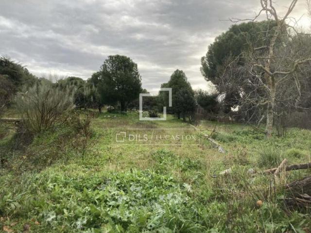 Terreno en venta en Majadahonda, Madrid