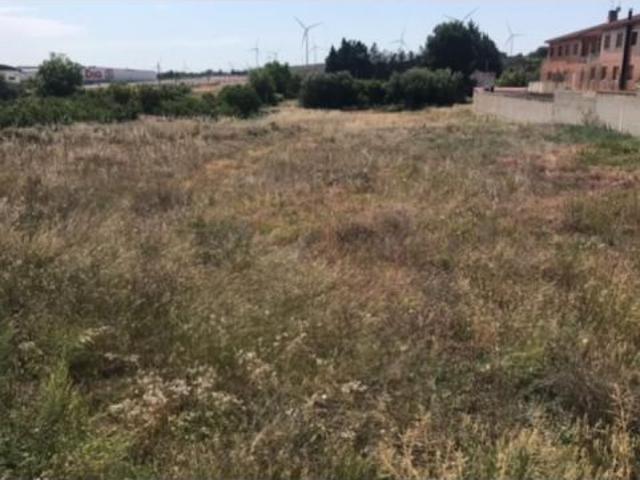 Local Comercial en venta en Campo de Borja, Aragón
