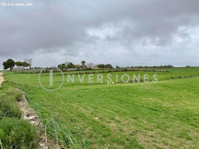 Local Comercial en venta en Manacor, Llevant