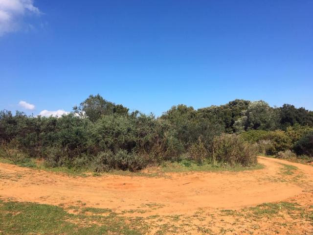Terreno en venta en Manilva
