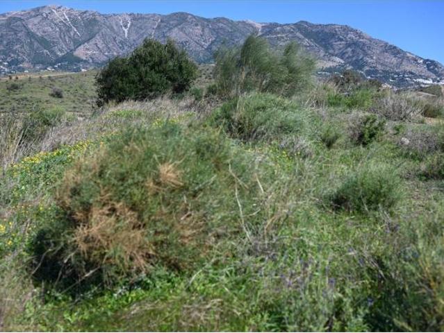 Local Comercial en venta en Pueblo Mijitas, Costa del Sol Occidental