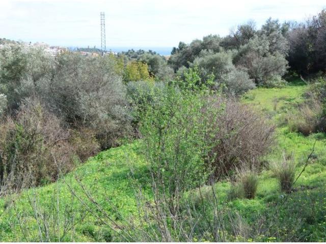 Local Comercial en venta en Urbanización Santa Rosa, Mijas
