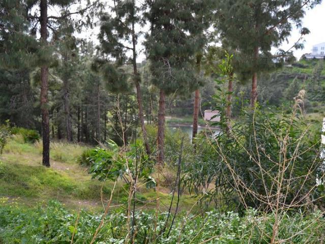 Terreno en venta en Mijas