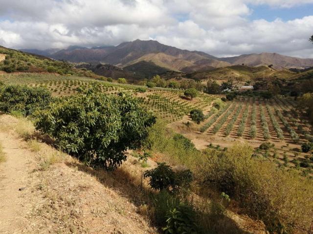 Terreno en venta en Mijas, La Cala