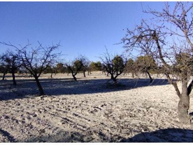 Local Comercial en venta en Noroeste, Murcia
