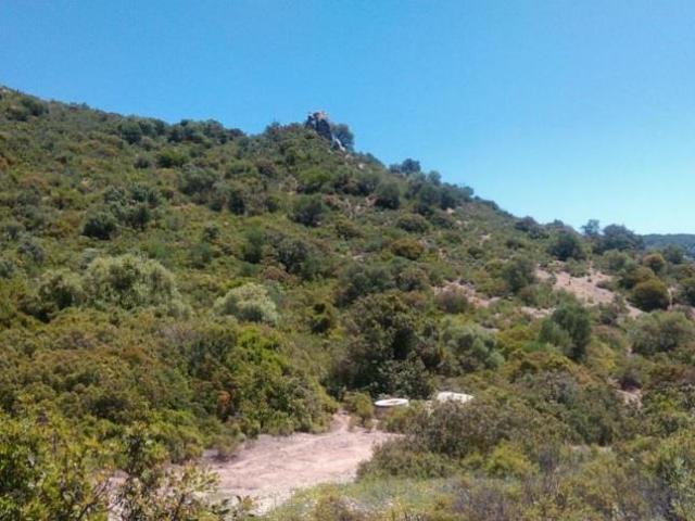 Terreno en venta en Morón De La Frontera, Sevilla