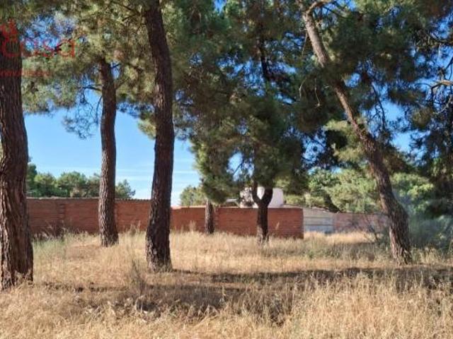 Terreno en venta en Navas De Oro