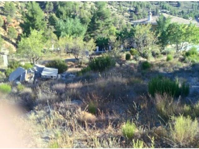 Local Comercial en venta en Nerpio, Castilla-La Mancha