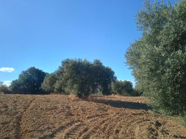 Terreno en venta en El Condado, Andalucía