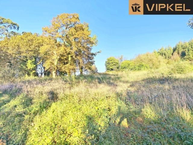 Terreno en venta en A Carballeira, O Pino