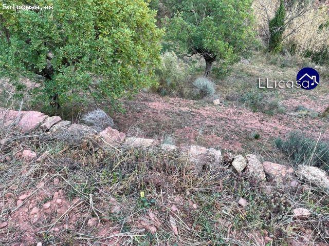 Local Comercial en venta en el Camp de Túria, Valencia
