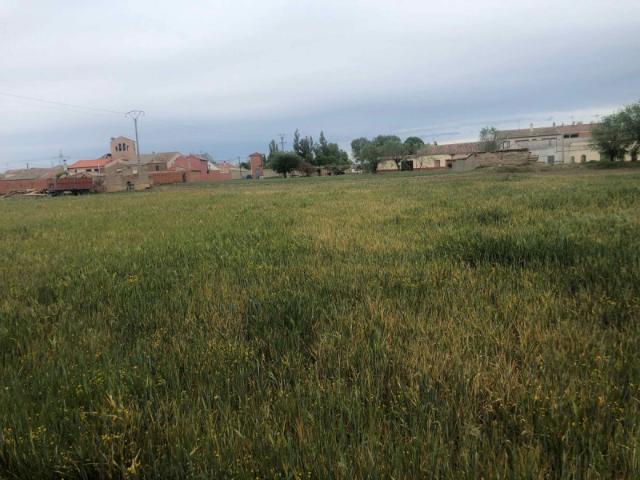 Terreno en venta en Orbita, Castilla y León