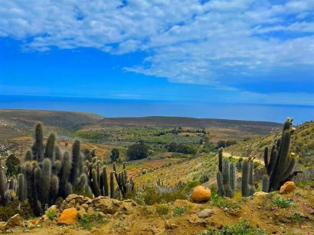 Parcela en Venta en OVALLE