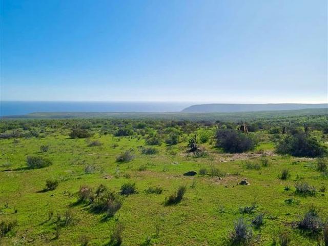 Parcela en Venta en OVALLE