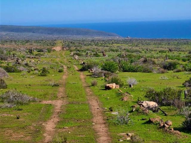 Parcela en Venta en OVALLE
