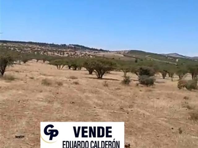Casa en venta en Peñablanca, Libertador General Bernardo O'higgins