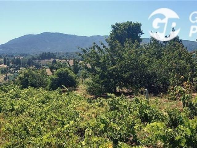 Casa en venta en Ñuble
