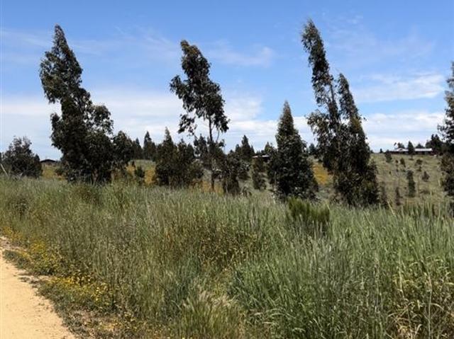 Casa en venta en Paredones, Libertador General Bernardo O'higgins