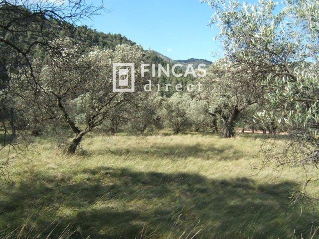 Terreno en venta en Paüls