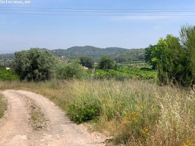 Local Comercial en venta en La Serranía, Valencia